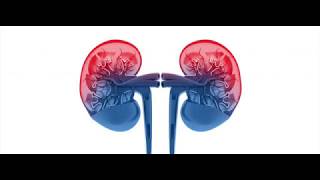 Modular Arithmetic And A Nephroid
