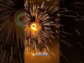 Mesmerizing Firework Spin: Do Not Attempt! ✨🎆#FireworkArt #VisualSatisfying