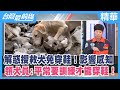 解惑搜救犬免穿鞋！影響感知 領犬員:平常要訓練才能穿鞋！【台灣最前線 精華】2024.04.08