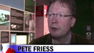 Decade in Review: Social Net Generation screenshot 4