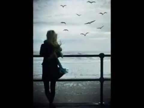 كارول سماحه مبنتحملش بعض