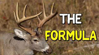 The Deer Movement Formula Every Hunter Should Know