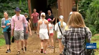Safety urged after visitor’s hike to Manoa Falls ends in fractured ankle, wrist