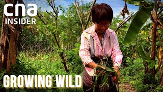 Meet Singapore's Urban Farmers | Growing Wild - Part 1\/3 | Full Episode
