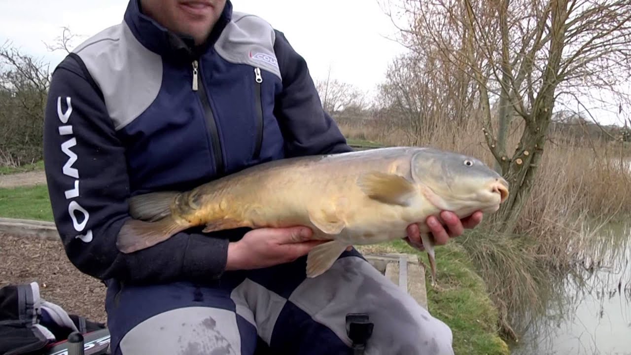 Colmic -  I segreti del Feeder Inglese