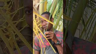 LE CÉLIBAT NE TUE PAS.... SAUF À LA SAINT-VALENTIN. 😂