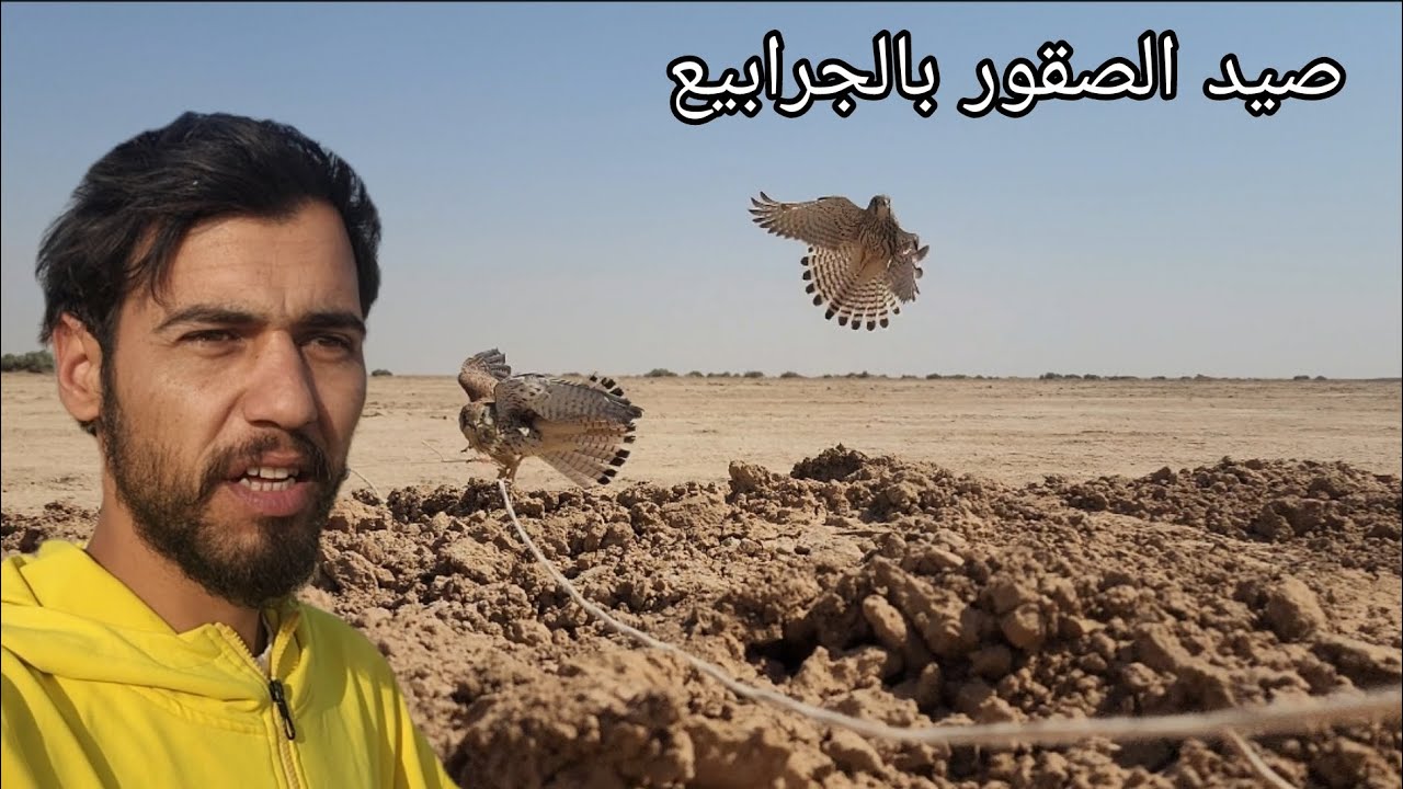 النوجه قبر الأحياء طريقه عجيبه ادخل وتونس