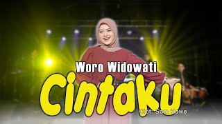Download lagu Dalam Sepiku Kaulah Candaku - Cintaku - Woro Widowati    mp3