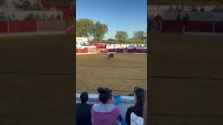 Gran quiebro en Mendavia 29/09/2024