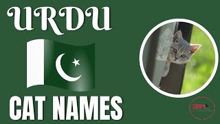 Urdu Cat Names2023| Pakistani Cat Names