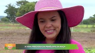 Agro Record: 16 02 25 - Bloco 02 - YouTube