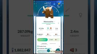 Piloswine Evolution to Mamoswine in Pokémon GO ❄️🦣#pokemongo#evolution#Mamoswine#Piloswine#shorts#yt