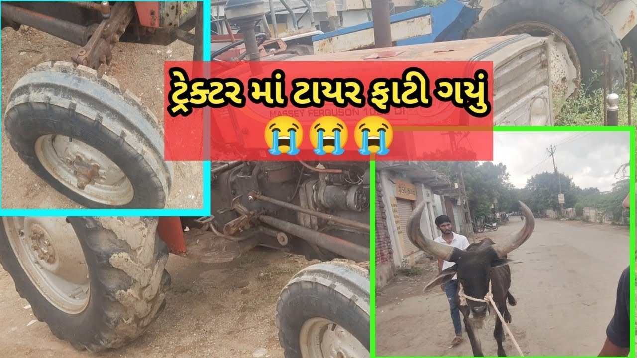 ટ્રેક્ટર નું ટાયર ફાટી ગયું 😭😭😭શ્રી દેવ બળદ આશ્રમ 7069719595 #villagevlog #cow #vlog #horse 