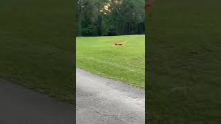 best landing on the slow stick