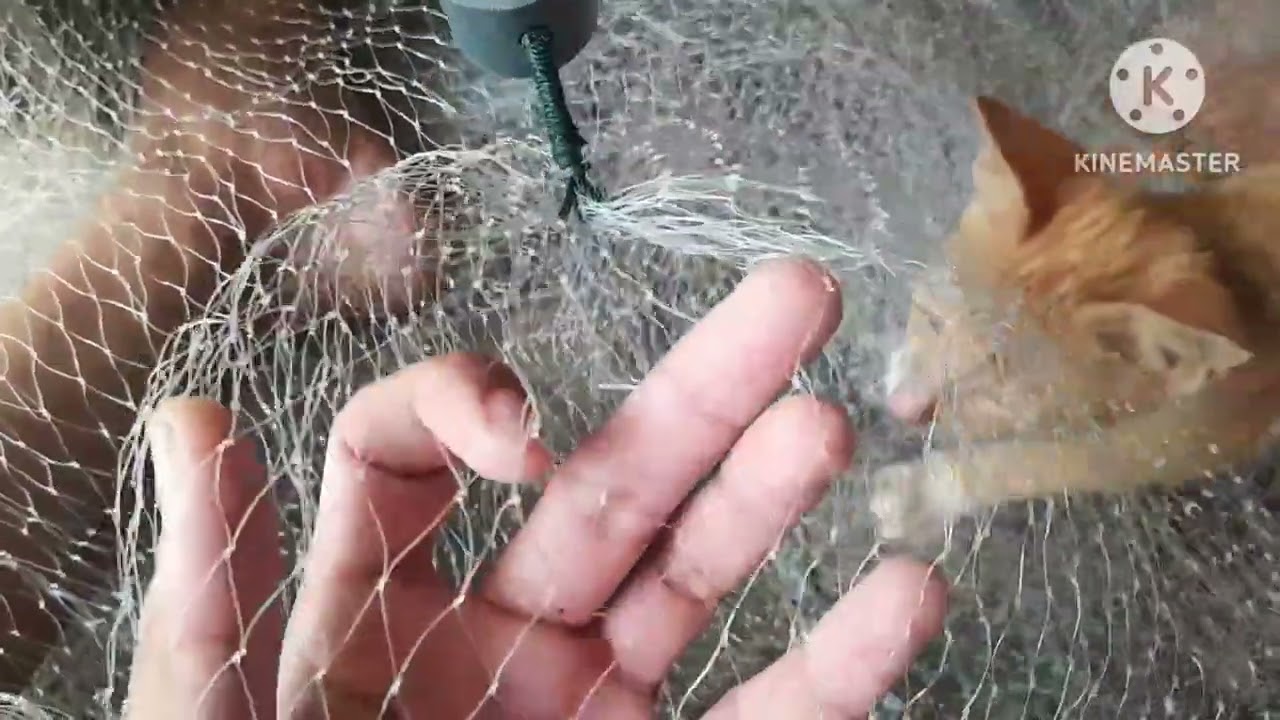 Bongkar Rahasia rumus jala hasil experimen full mekar@gunawanpadu90