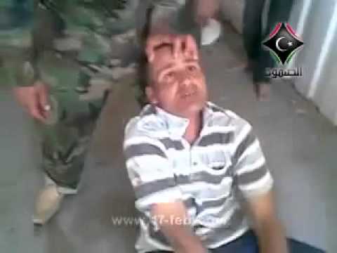 فضاعة معاملة كلاب القذافي 