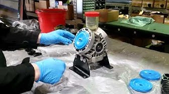 Replacing the diaphragms on your GX5