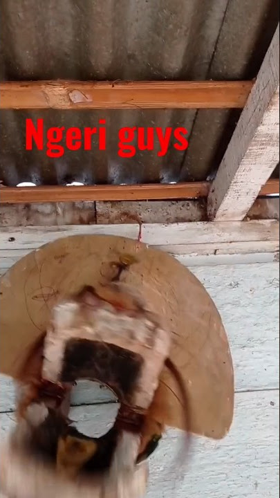 Kepala Barongan bergerak gerak sendiri 😲😵  #barongan #ngerii #shorts #viral