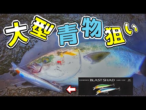 青物ルアー　GOODバイト☆新品未使用☆早い者勝ち☆プラグ☆ルアー色々☆釣り引退 ショアジギング】ミノーとメタルジグで大型青物を狙う