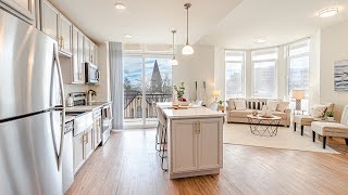 The Continental Apartments - 2 Bedroom Video Tour