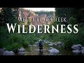 Finding New Inspiration - Backpacking Clear Creek Wilderness