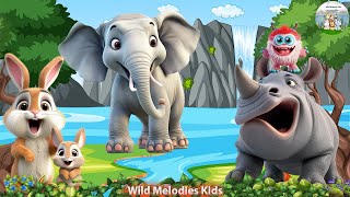 Cute Animals Around Us: Elephant, Hippo, Rabbit , Dog, Cat - Animal videos