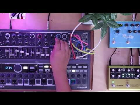 minibrute-2s---an-android's-lament