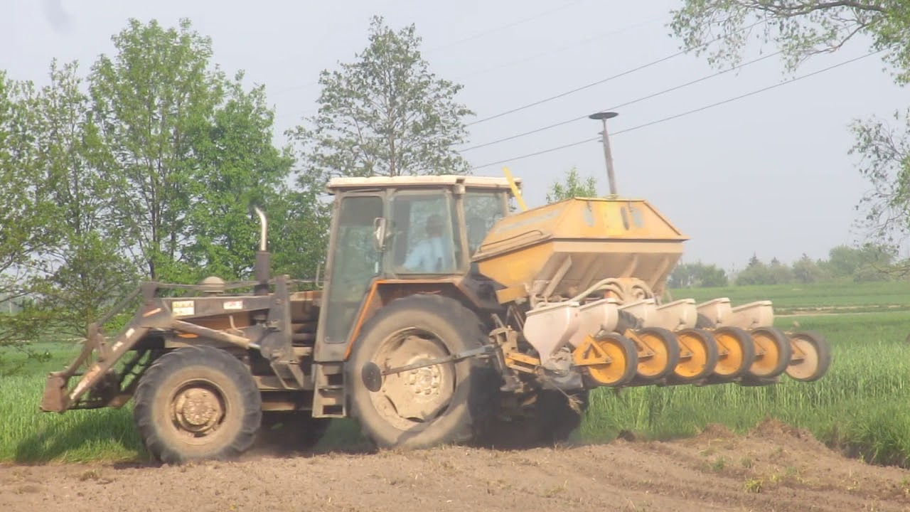 Siew kukurydzy 2018 MF 255 + monosem--, renault 981.4 + kleine AgroFast TV