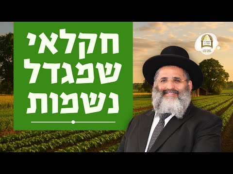 חקלאי שמגדל נשמות | ליקוטי מוהר"ן תורה ס"ה - שיעור 3 | פסח ה'תשפ"ה