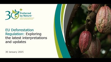 EU Deforestation Regulation: Exploring the latest interpretations and updates