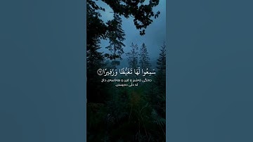 سورة الفرقان..ادریس ابكر #اكسبلور #راحة_نفسية #قرانكريم #لايك #قران #اكسبلورر
