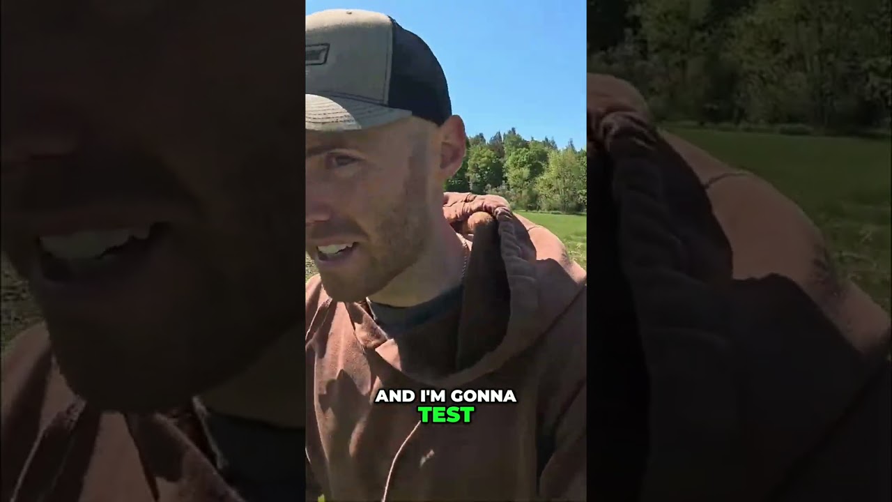 Food Plot Creation