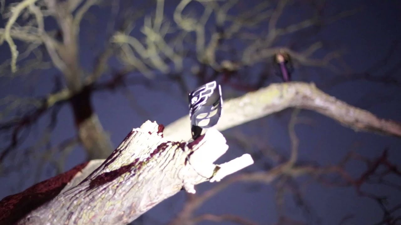 portland design works owl cage