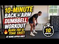 10-Minute Back + Arm Dumbbell Workout to Burn Fat & Tone Fast (At Home Upper Body)