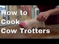 What to cook with Cow Trotters