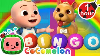 Bingo's Rainbow Color Toys Song! (Bingo Was His NameO) | CoComelon Nursery Rhymes & Kids Songs