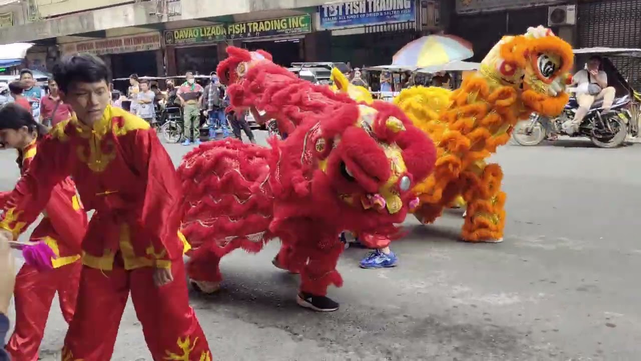 Песнопение танца дракона | Первый просмотр в архейский период
