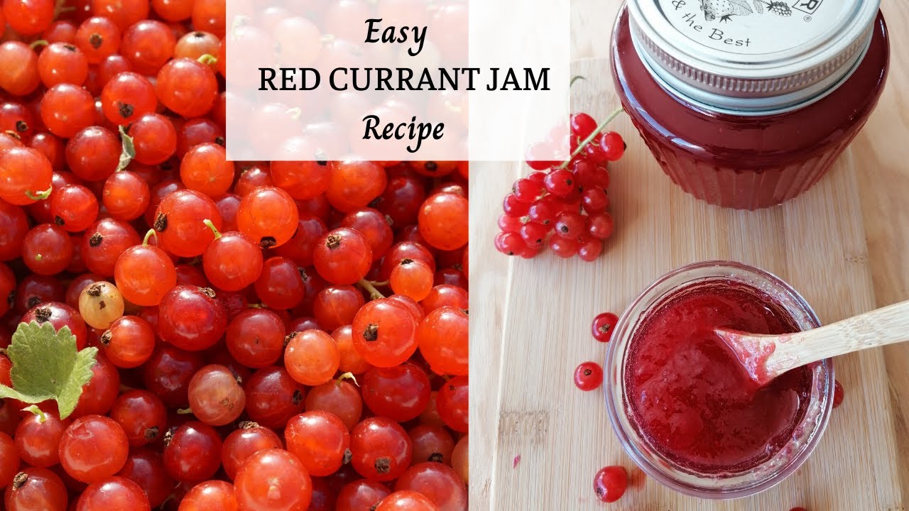 How To Make Red Currant Jam And Easy Way To Separate The Berries