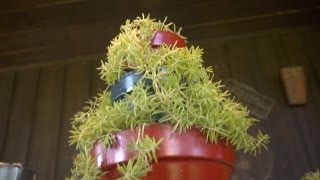 How to Make a 3-Tier Planter | At Home With P. Allen Smith