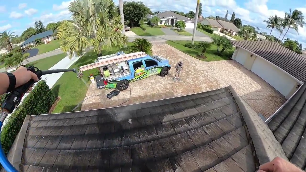 Lizard Roof Cleaning