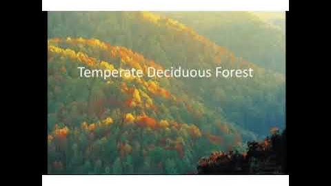 MLZS JHANSI CLASS 7 Geography Chapter 6 Natural Vegetation and Wildlife Lecture 1