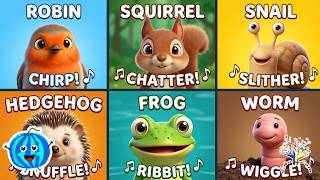 The Animal Sounds Song! | Squirrel, Snail, Hedgehog, &amp; More | Simple EduFam Learning