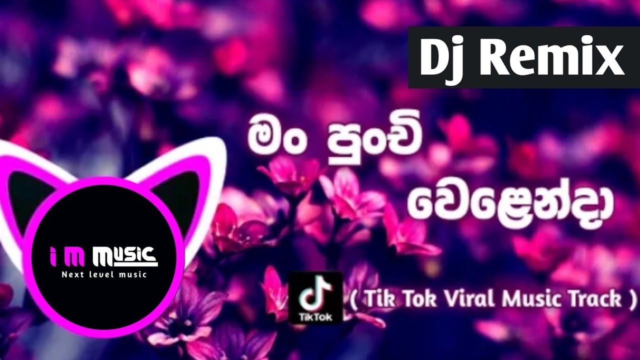     Man Punchi Welenda Dj Remix song  Sithalaga Music