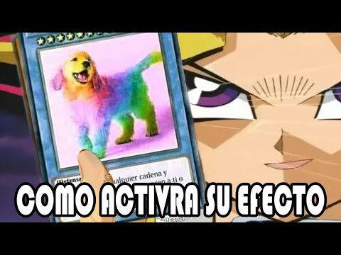 perro-de-colores-como-activar-su-efecto-(carta-anti-cadenas)meme