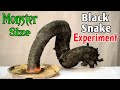 How to Make Monster Black Snake At Home Using Sugar | Black Snake Experiment | काला सांप कैसे बनाएं