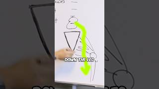 Sciatica or Piriformis Syndrome WHAT'S THE DIFFERENCE? #piriformissyndrome #sciaticnerve