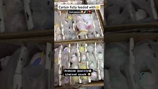 Comment for link 🔗 #cutethings #wholesalemarket #trendingtumblerwholesaler #delhiwholesalemarket