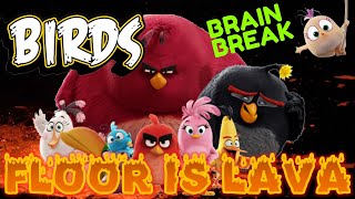 BIRDS: FLOOR IS LAVA BRAIN BREAK! EXERCISE BREAK. Just Dance for Fun, Movement Activity. screenshot 3