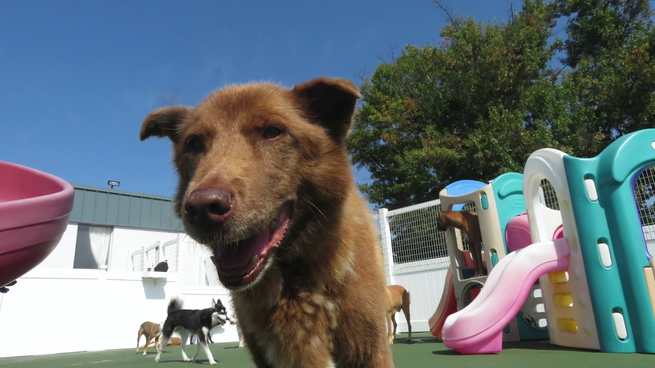 Cubby's Virtual Tour - YouTube