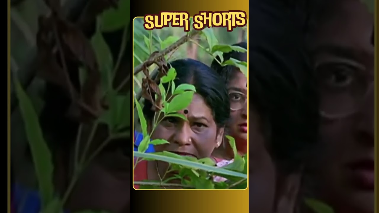 അവള് ചില്ലറക്കാരിയല്ല | Sreekrishnapurathe Nakshathrathilakkam #shorts #trending #viral #malayalam